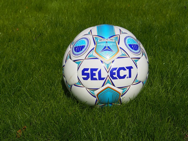 船队的整体 船队的整体