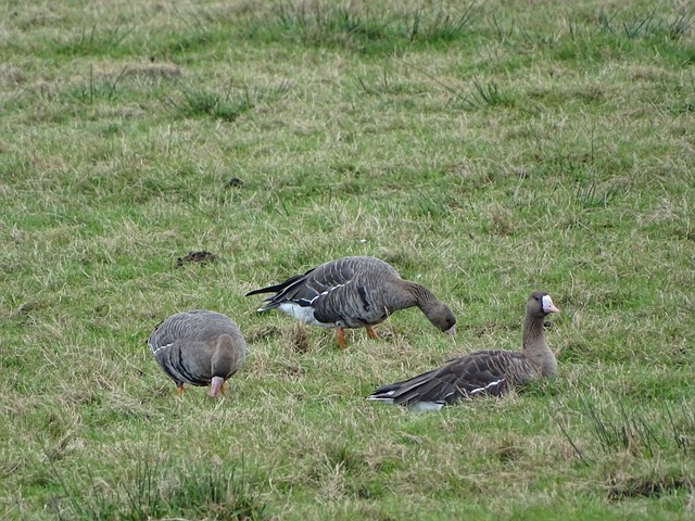 成长的机会 成长的机会