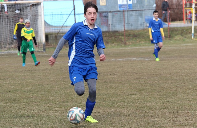 体育局长们 体育局长们