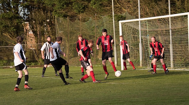 分明的人 分明的人